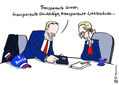 AfD-Wahlbeobachter AfD-Wahlbeobachter