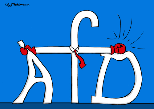 AfD Boxkampf AfD Boxkampf