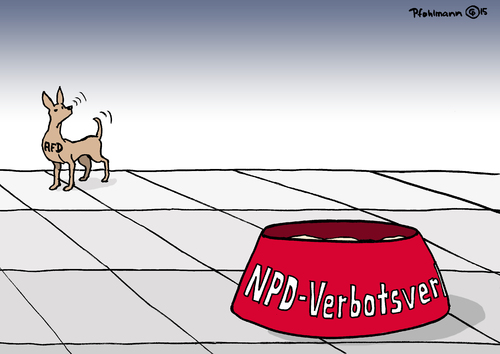 AFD wittert AFD wittert