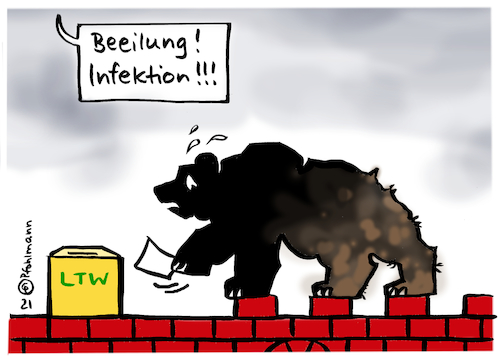 Bäreninfektion