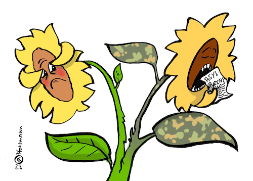 Blumenspaltung Blumenspaltung