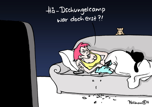 Dschungelcamp Dschungelcamp