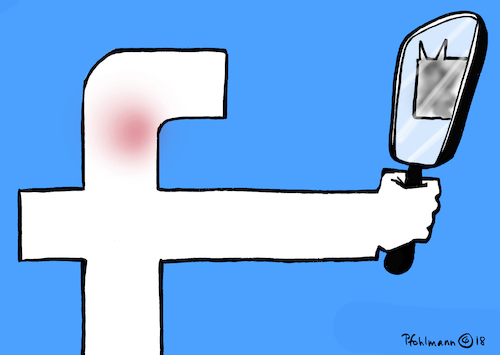Facebook Selbstbeschau Facebook Selbstbeschau