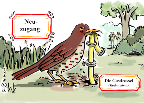 Gasdrossel Gasdrossel