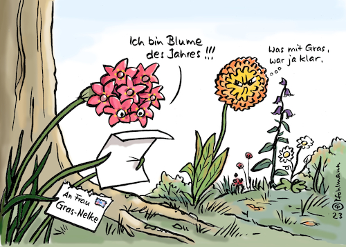 Grasnelke Grasnelke
