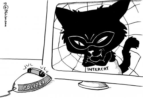 Intercat Intercat
