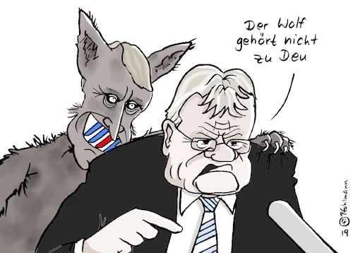 Cartoon: Kein Wolf in D! (medium) by Pfohlmann tagged 2019,deutschland,afd,meuthen,wolf,höcke,flügel,flügelkampf,rechtsextremismus,rechts,rechtsextrem,nationalistisch,vorstand,2019,deutschland,afd,meuthen,wolf,höcke,flügel,flügelkampf,rechtsextremismus,rechts,rechtsextrem,nationalistisch,vorstand