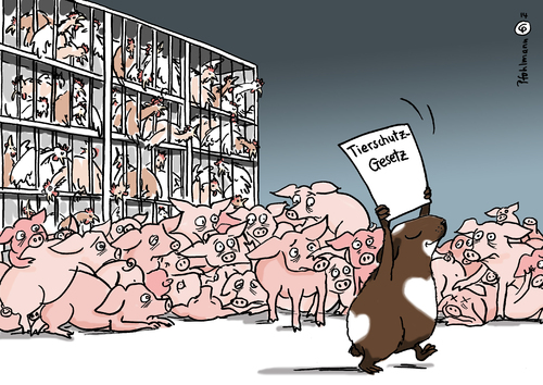 Cartoon: Mehr Meerschweinschutz (medium) by Pfohlmann tagged karikatur,cartoon,color,farbe,2014,deutschland,tierschutz,tierschutzgesetz,haustiere,gebrauchsanleitung,verkauf,nutztiere,schweine,ferkel,hühner,massentierhaltung,tierquälerei,käfighaltung,meerschweinchen,hamster,karikatur,cartoon,color,farbe,2014,deutschland,tierschutz,tierschutzgesetz,haustiere,gebrauchsanleitung,verkauf,nutztiere,schweine,ferkel,hühner,massentierhaltung,tierquälerei,käfighaltung,meerschweinchen,hamster