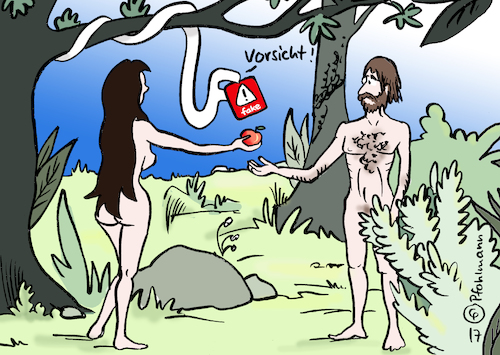 Paradies Fake Paradies Fake