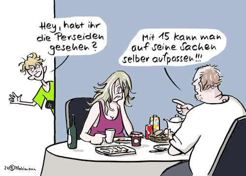 Perseiden gesehen Perseiden gesehen