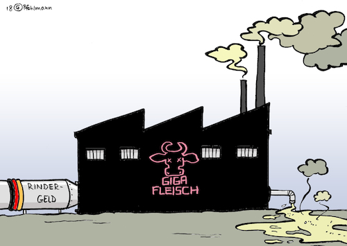 Rindergeld-Missbrauch Rindergeld-Missbrauch
