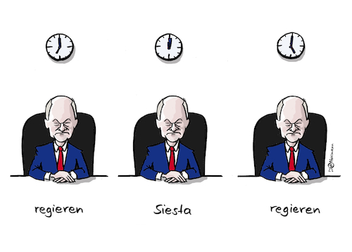 Scholz Siesta Scholz Siesta
