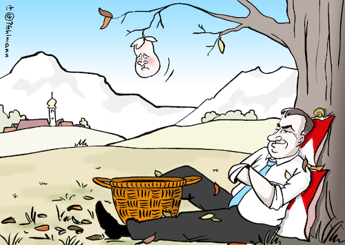 Söder erntet Söder erntet