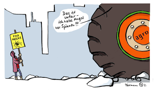 Spinnenangst Spinnenangst
