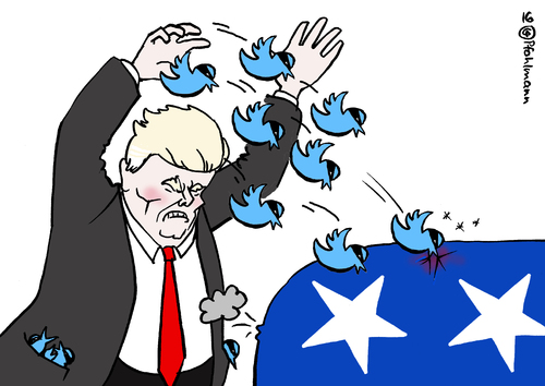 Trumps Twitterattacke