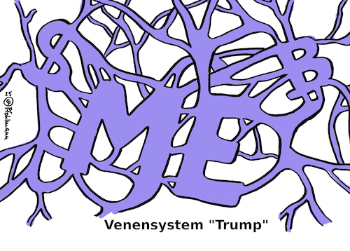 Venensystem Venensystem