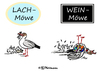 Lach- und Weinmöwe