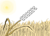 Cartoon: Null-Weizen (small) by Pfohlmann tagged ernteausfall,weizen,getreide,landwirtschaft,ernährung,null,essen,lebensmittel,ähre,acker,feld,hitzewelle,klimakrise,trockenheit,dürre