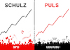 Schulz-Puls