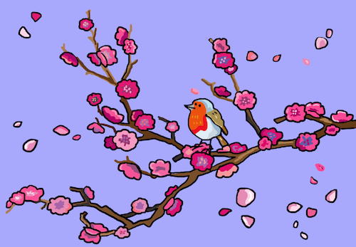 Cartoon: Kirschblüte (medium) by sabine voigt tagged kirschblüte,kirschen,bluten,sommer,blühen,garten,rotkehlchen,natur,baum,pflanze,vogel