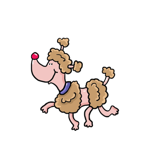 Cartoon: pudel Hund (medium) by sabine voigt tagged pudel,hund,haustier,tier,zirkus,dressur,hundefutter