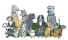 Cartoon: Hund Hunde Rudel (small) by sabine voigt tagged hund,hunde,rudel,haustier,futter,freunde,freundschaft,tierarzt
