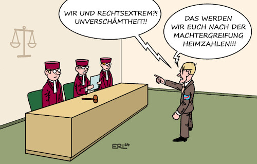 AfD-Urteil AfD-Urteil