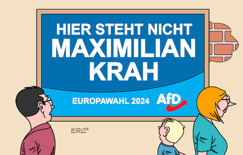 AfD-Wahlplakat AfD-Wahlplakat