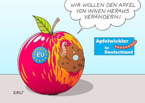 AfD Europawahl AfD Europawahl