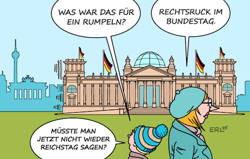 AfD im Bundestag AfD im Bundestag