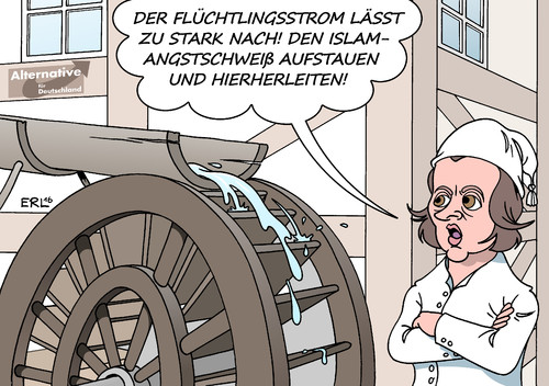 AfD Islam AfD Islam