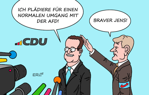 AfD normal AfD normal