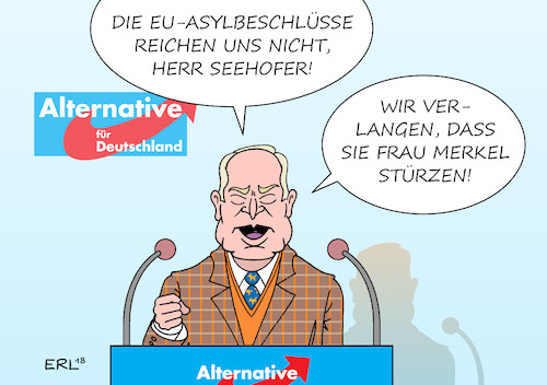 AfD Parteitag AfD Parteitag
