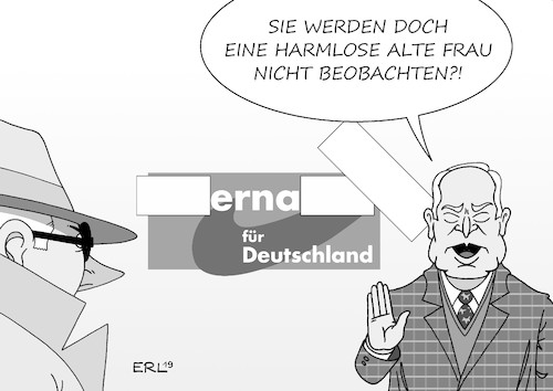 AfD Prüffall