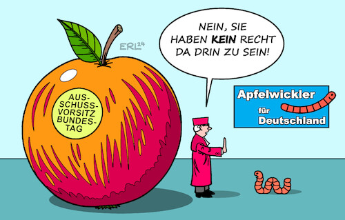 AfD Urteil AfD Urteil