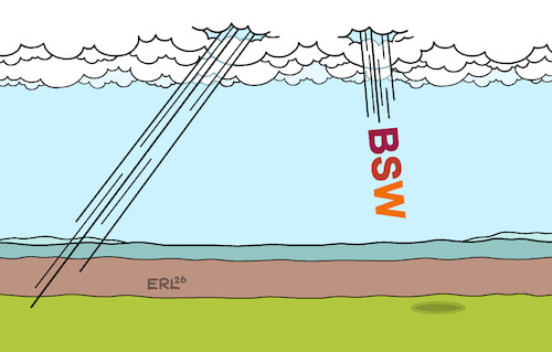 Aufstieg und Fall einer Partei