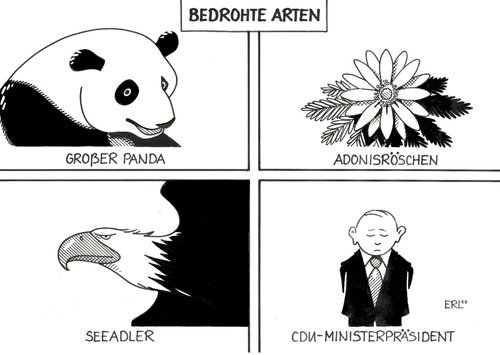 Bedrohte Arten