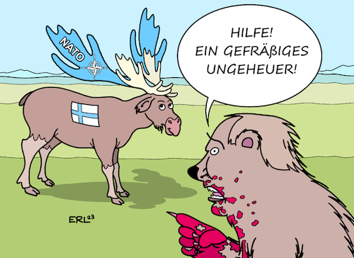 Bedrohung für den Bären Bedrohung für den Bären