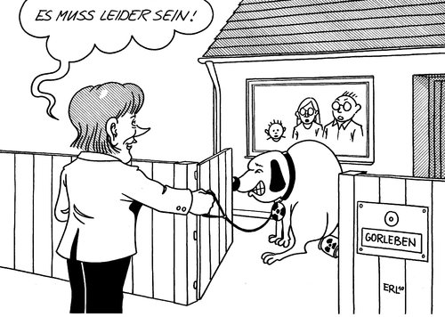 Castor Castor