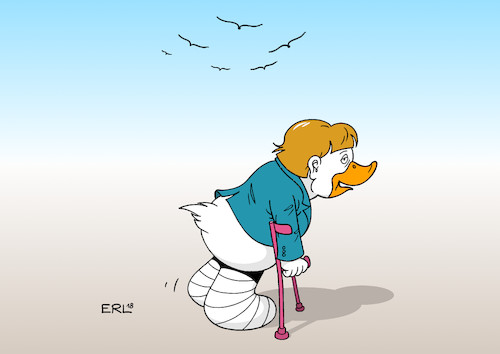 CDU-Vögel CDU-Vögel