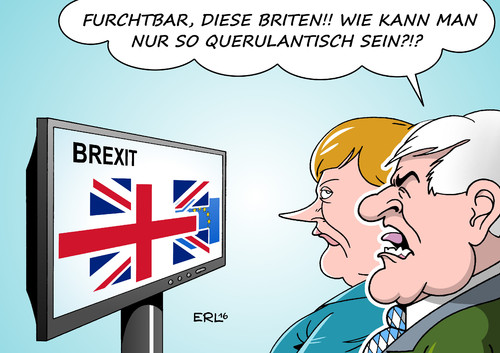 CDU CSU BREXIT