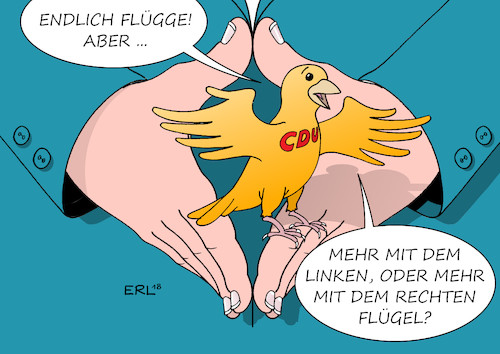 CDU wird flügge CDU wird flügge