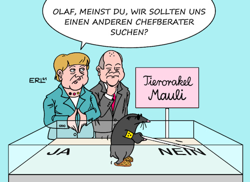 Chefberater der Regierung Chefberater der Regierung