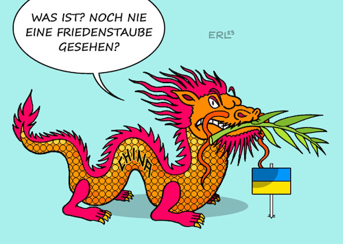 Chinesische Friedenstaube Chinesische Friedenstaube