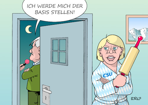 CSU-Basis CSU-Basis