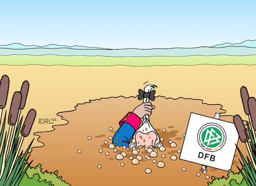 DFB DFB