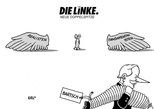 Die Linke Neue Doppelspitze Die Linke Neue Doppelspitze