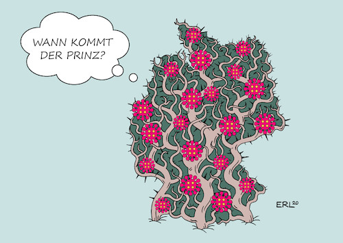 Dornröschenschlaf Dornröschenschlaf