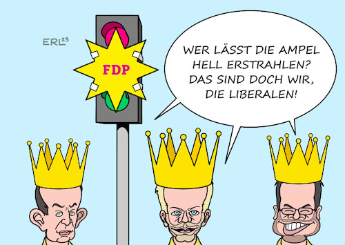 Dreikönigstreffen I Dreikönigstreffen I