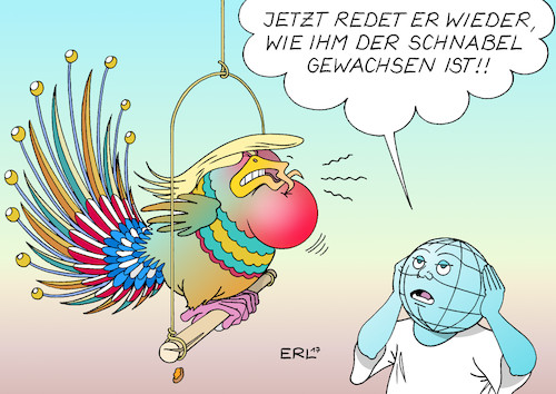 Eine Art Fichtenkreuzschnabel Eine Art Fichtenkreuzschnabel